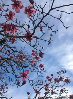 Formative Pruning